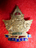 137th Battalion (Calgary, AB.) Sweetheart Pin